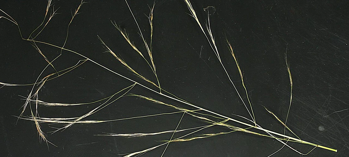 Sorry, no alternate text available