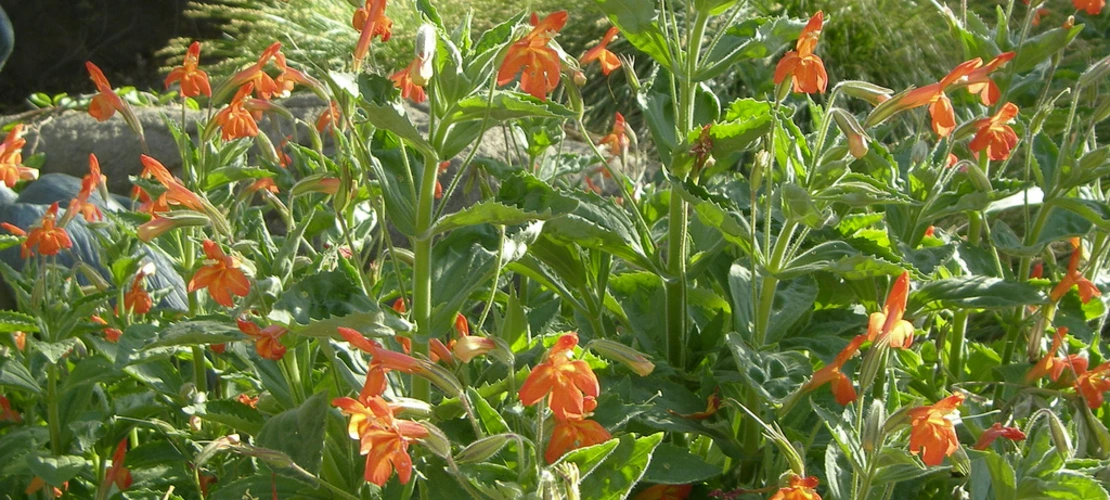 Sorry, no alternate text available