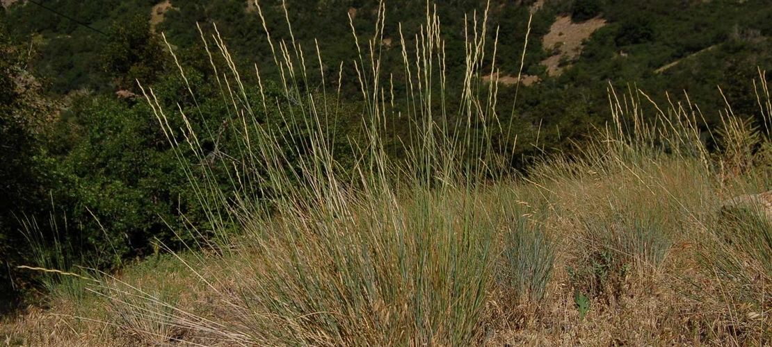 Sorry, no alternate text available