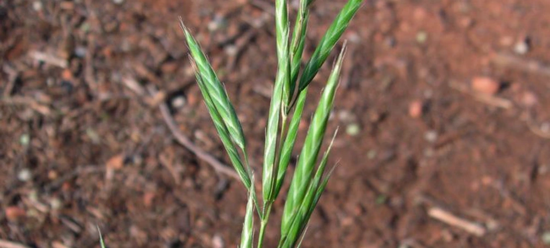 Sorry, no alternate text available