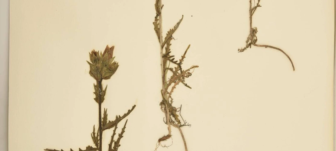 Sorry, no alternate text available