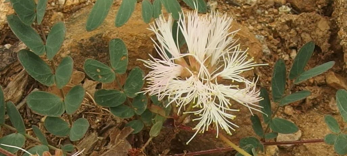 Sorry, no alternate text available