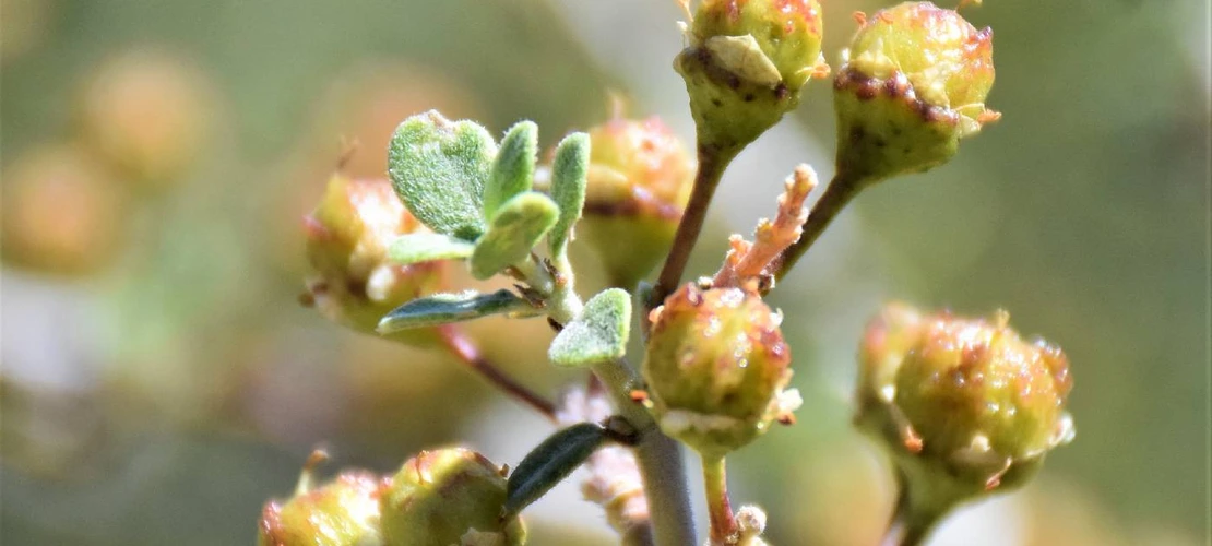 Sorry, no alternate text available