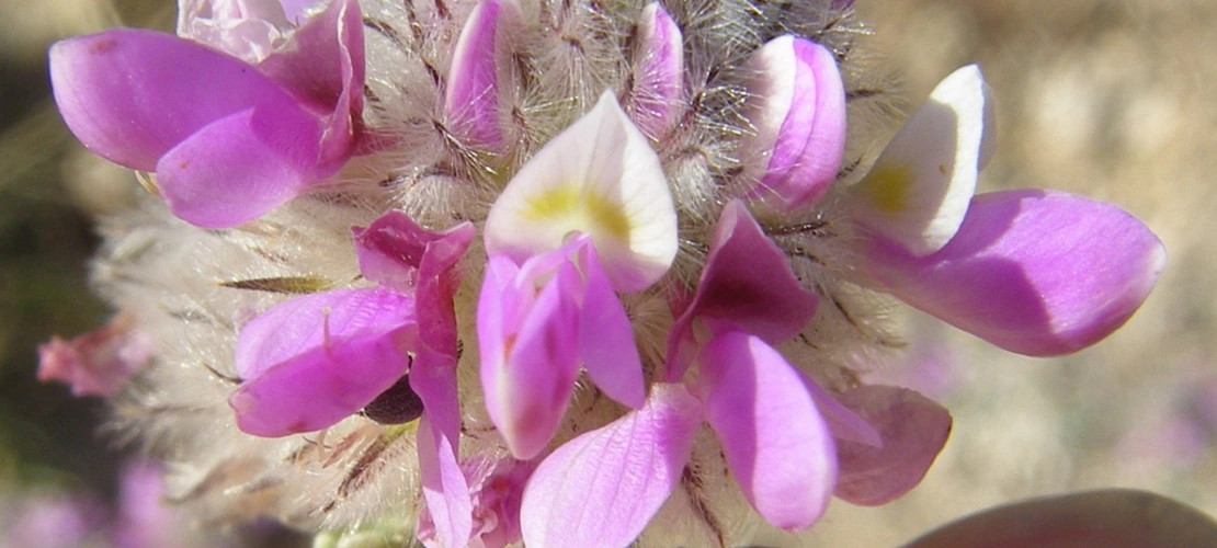 Sorry, no alternate text available