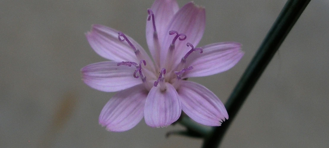 Sorry, no alternate text available