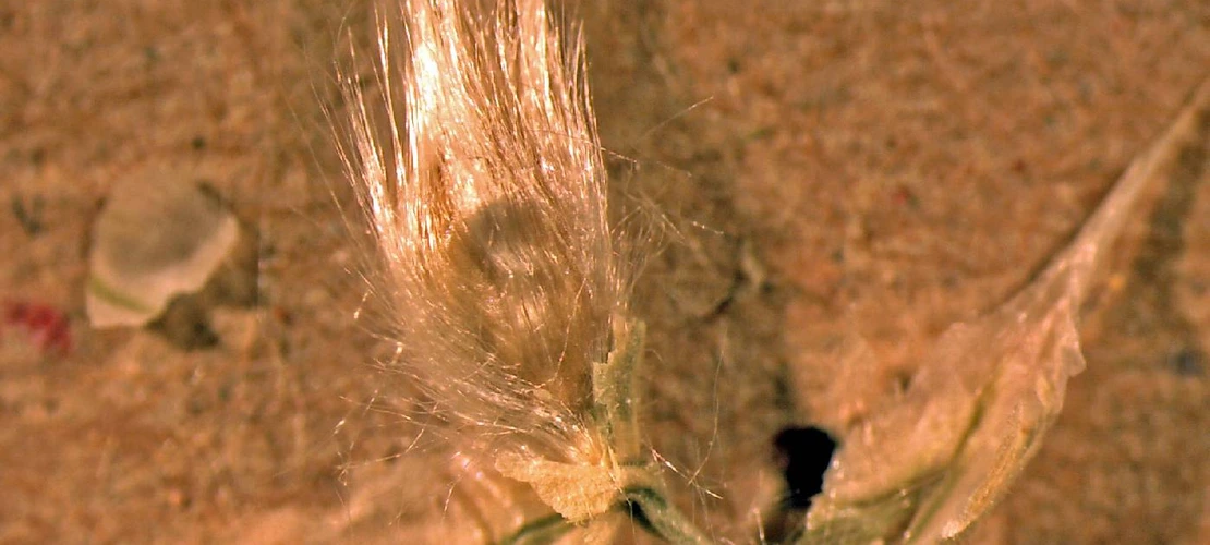 Sorry, no alternate text available