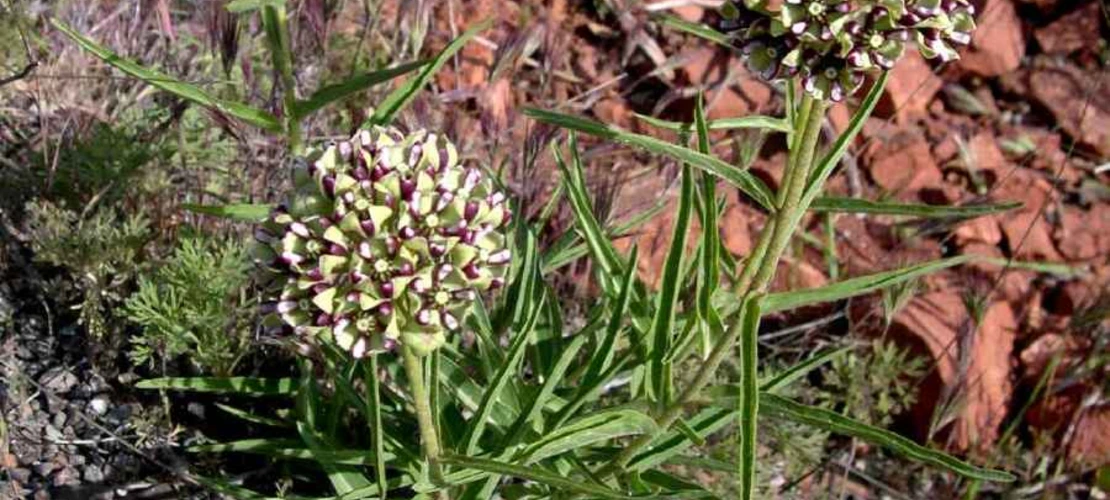 Sorry, no alternate text available