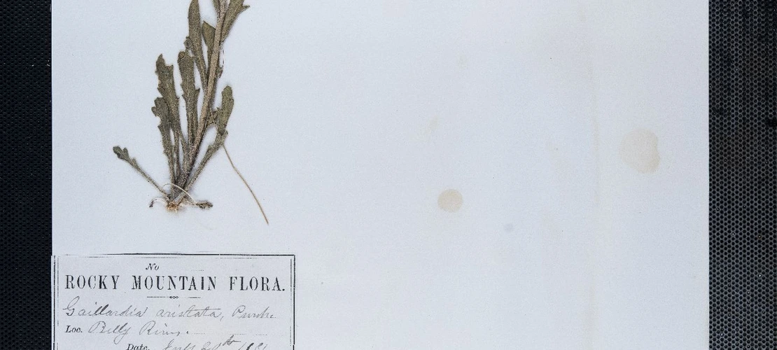 Sorry, no alternate text available