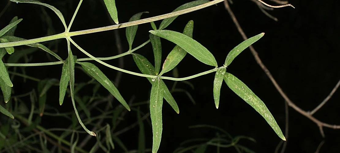 Sorry, no alternate text available