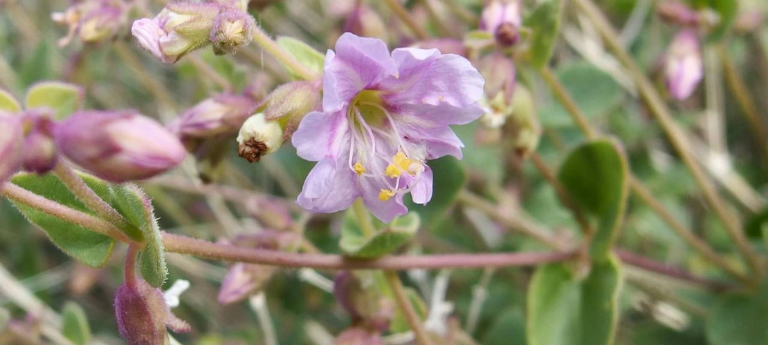 Sorry, no alternate text available