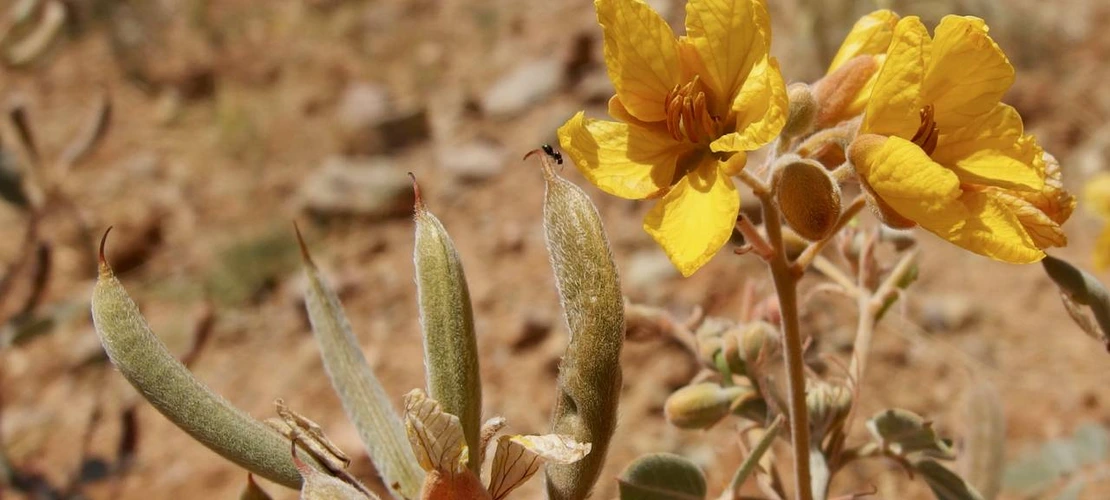 Sorry, no alternate text available