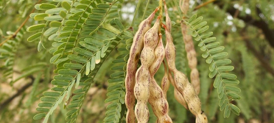 Sorry, no alternate text available