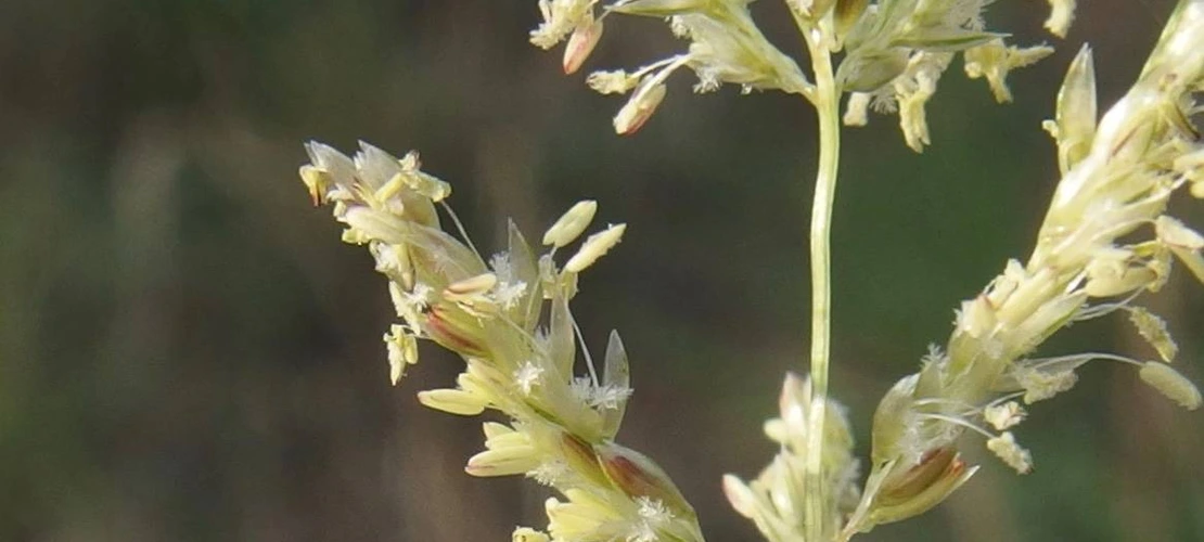 Sorry, no alternate text available