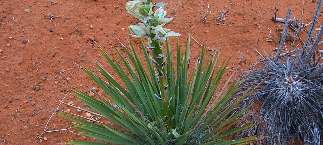 Sorry, no alternate text available